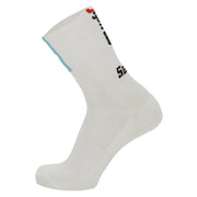 SANTINI TREK-SEGAFREDO SOCKS